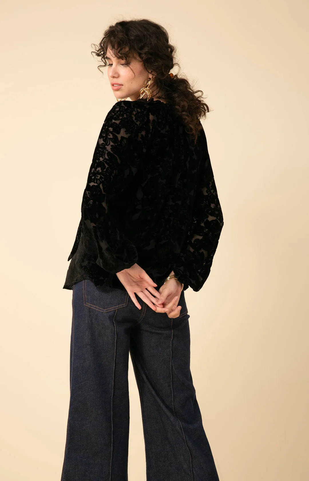 Alba Solid Velvet Burnout Top sold by Hale Bob product image thumbnail 2