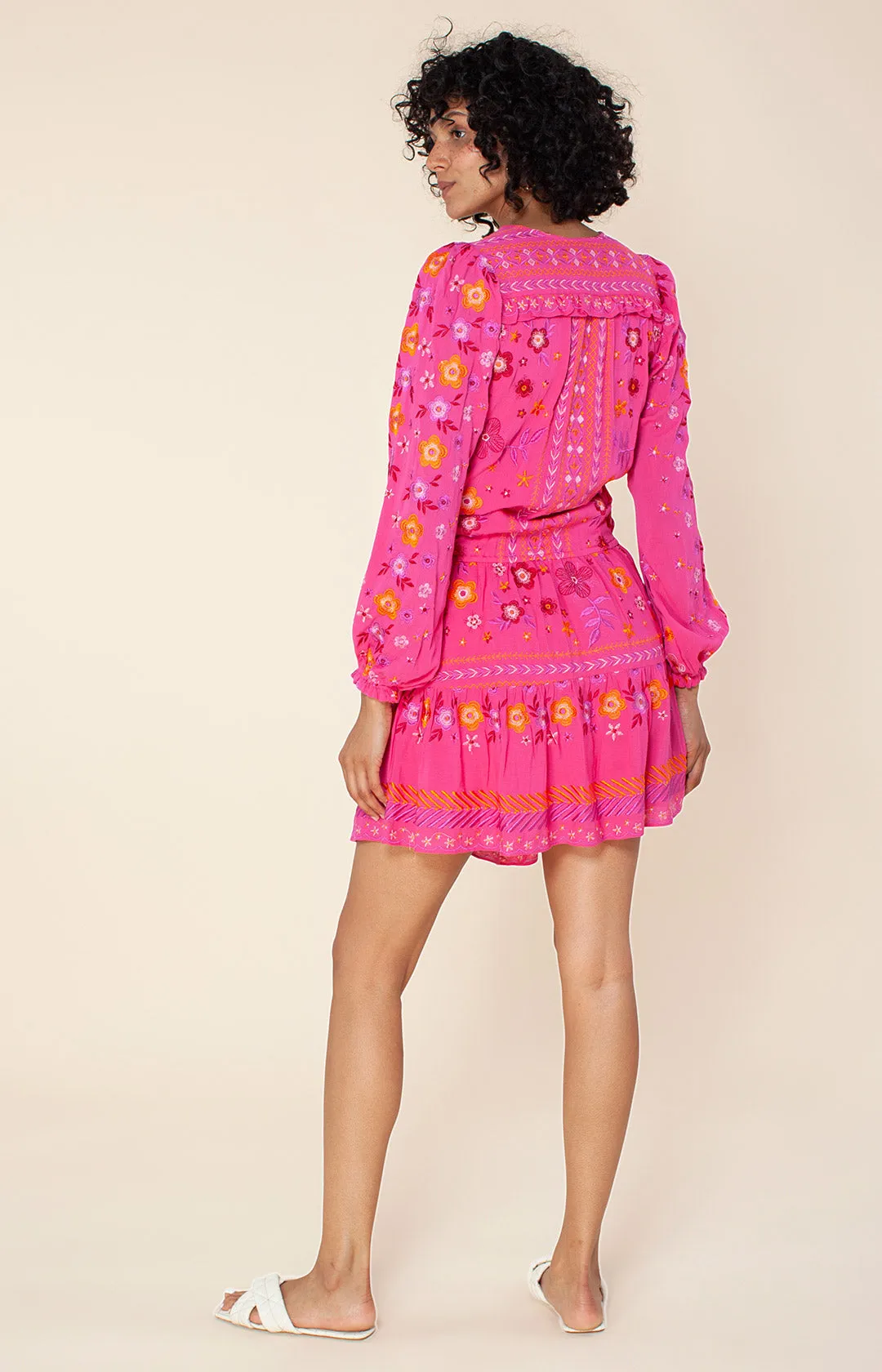 Isaura Embroidered Dress sold by Hale Bob product image thumbnail 4