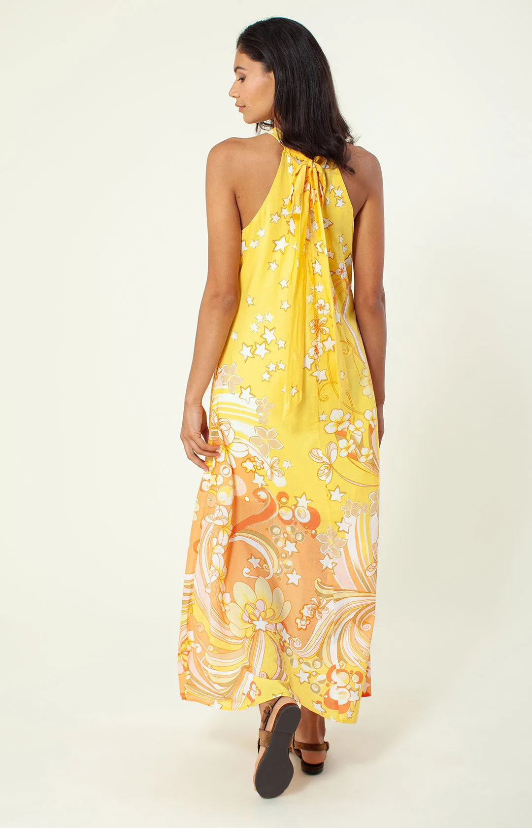 Lyzz Maxi Dress sold by Hale Bob product image thumbnail 4