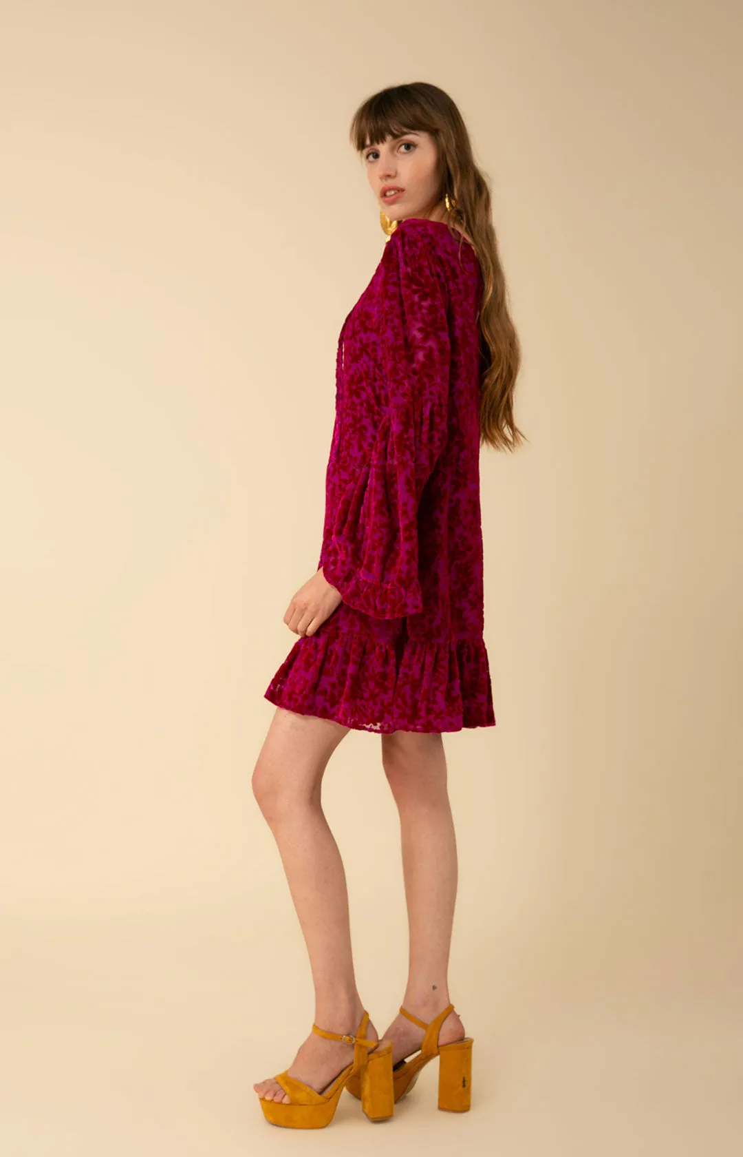 Salome Solid Velvet Burnout Dress sold by Hale Bob product image thumbnail 3