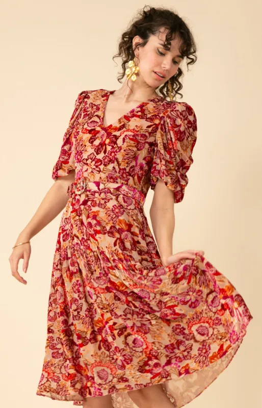 Mia Velvet Burnout Midi Dress sold by Hale Bob