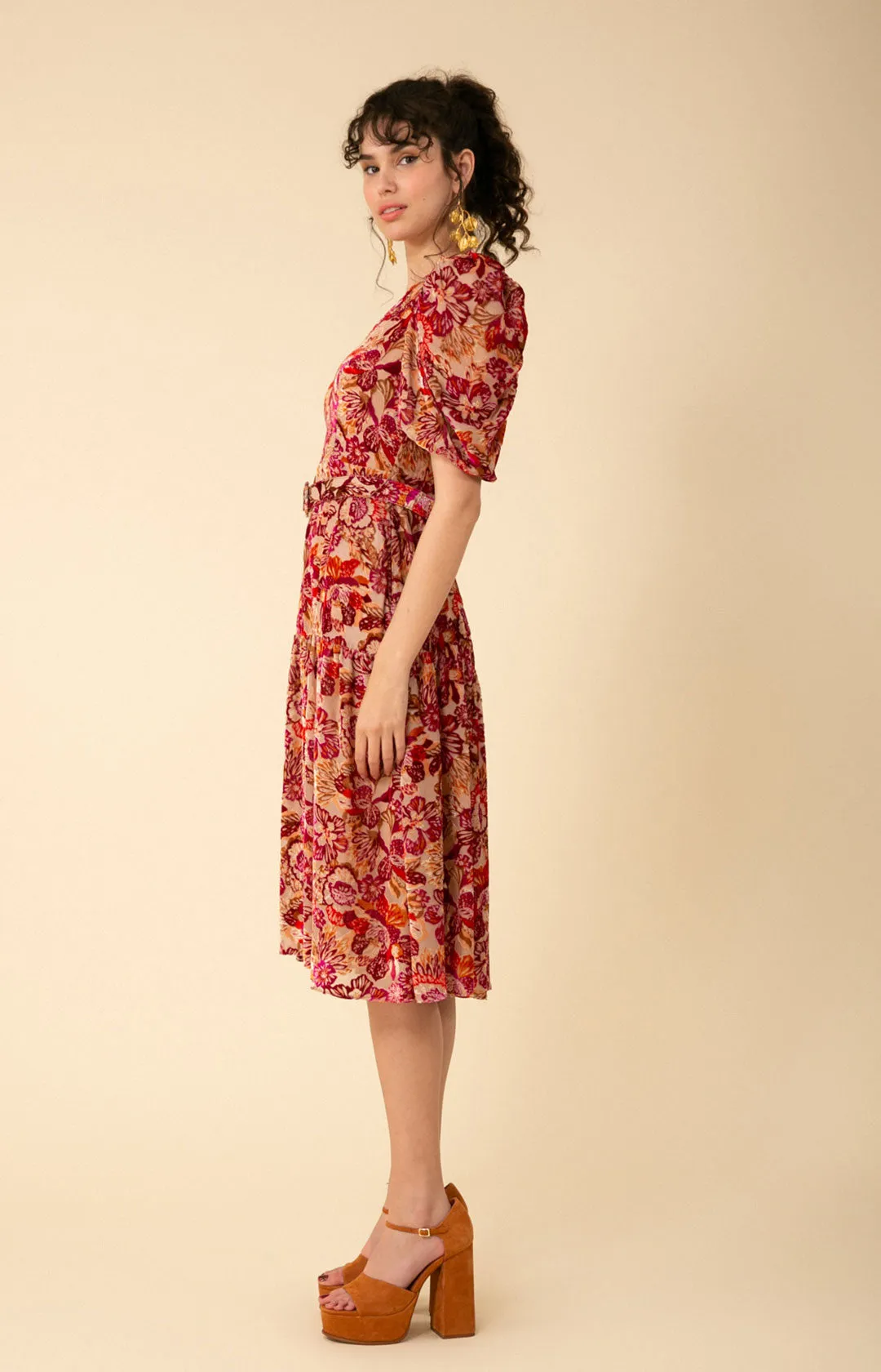 Mia Velvet Burnout Midi Dress sold by Hale Bob product image thumbnail 4