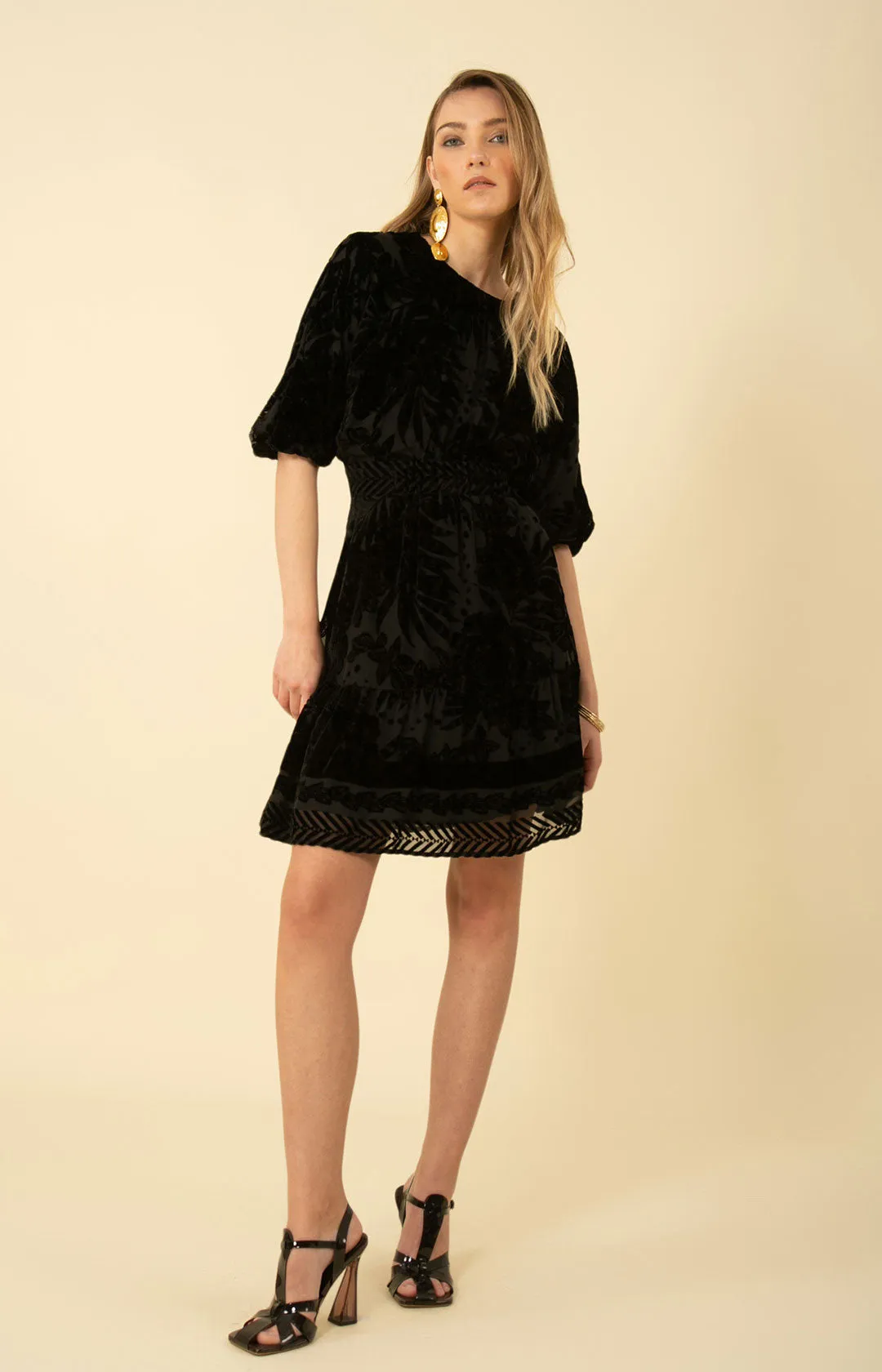 Ruby Solid Velvet Burnout Dress sold by Hale Bob product image thumbnail 4