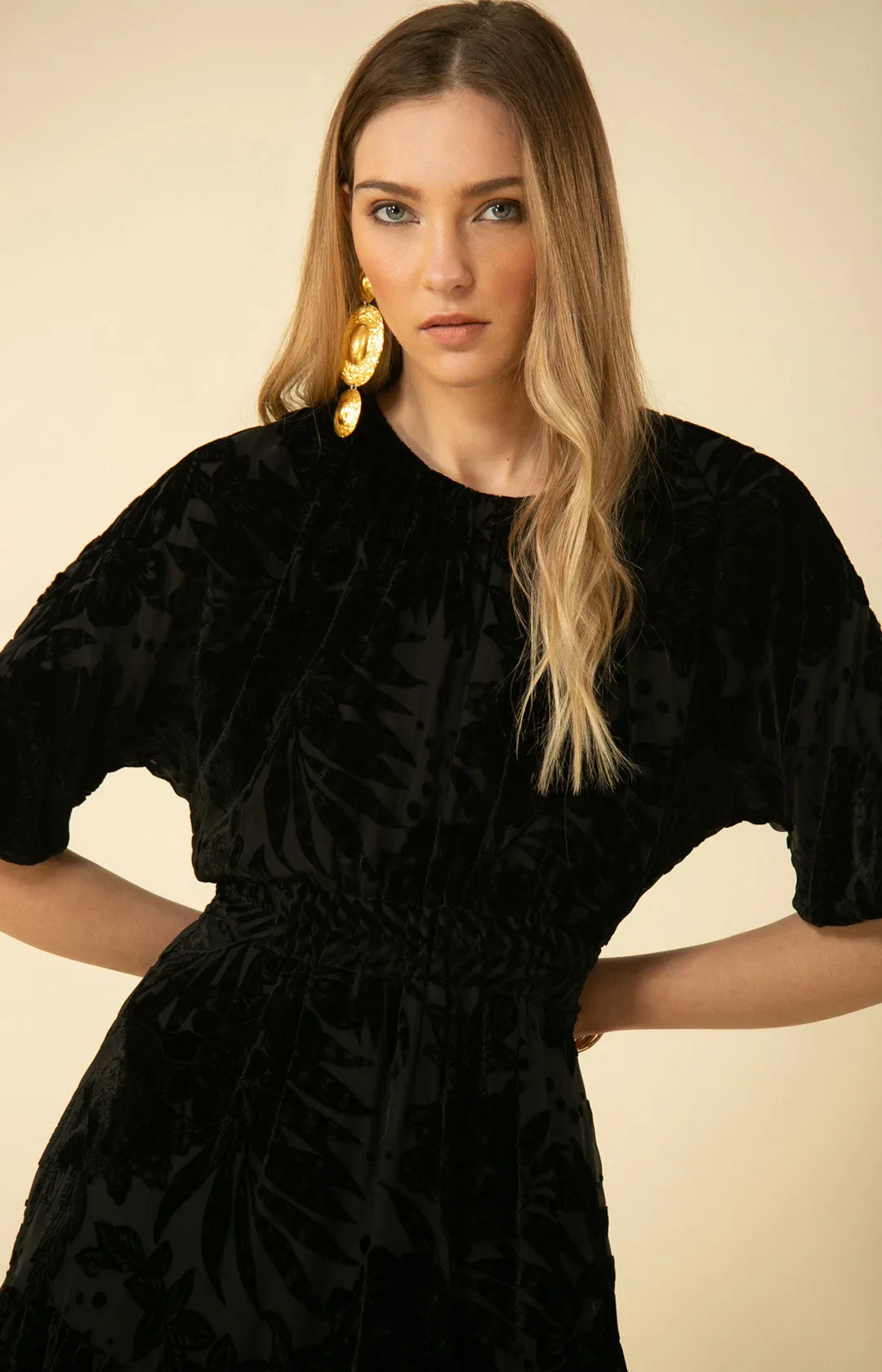 Ruby Solid Velvet Burnout Dress sold by Hale Bob product image thumbnail 3