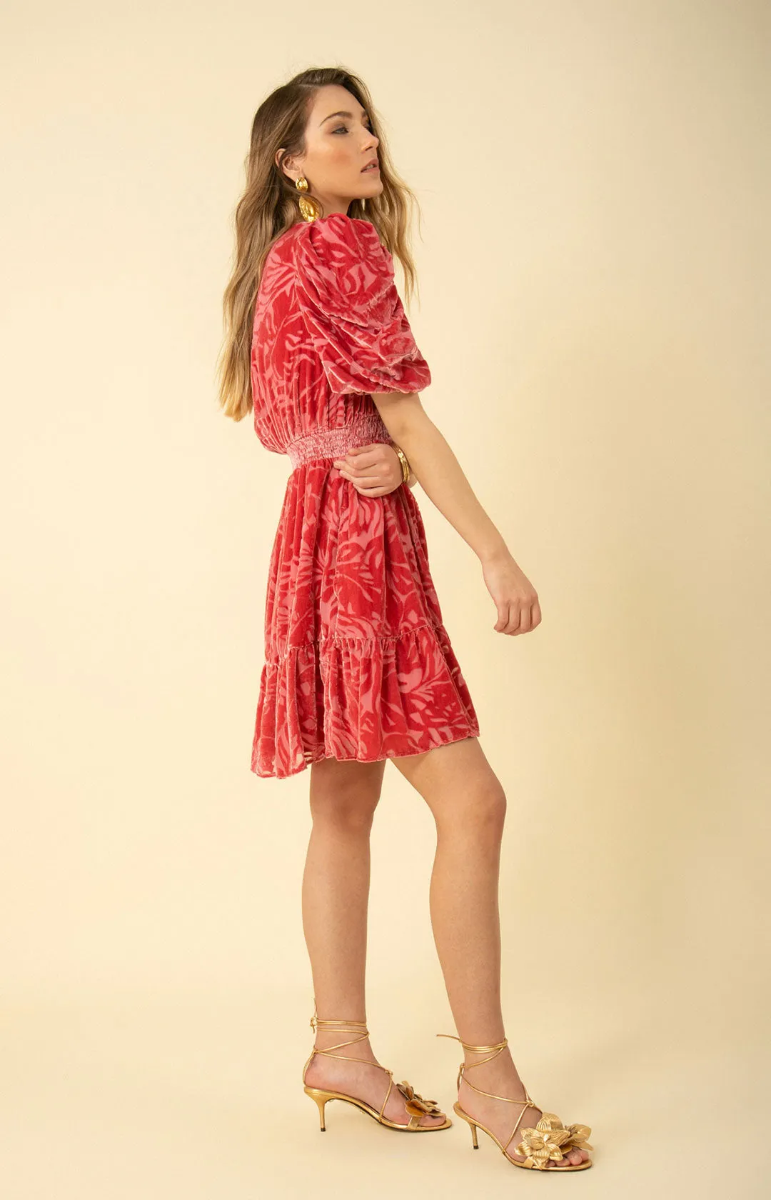 Willow Solid Velvet Burnout Dress sold by Hale Bob product image thumbnail 4