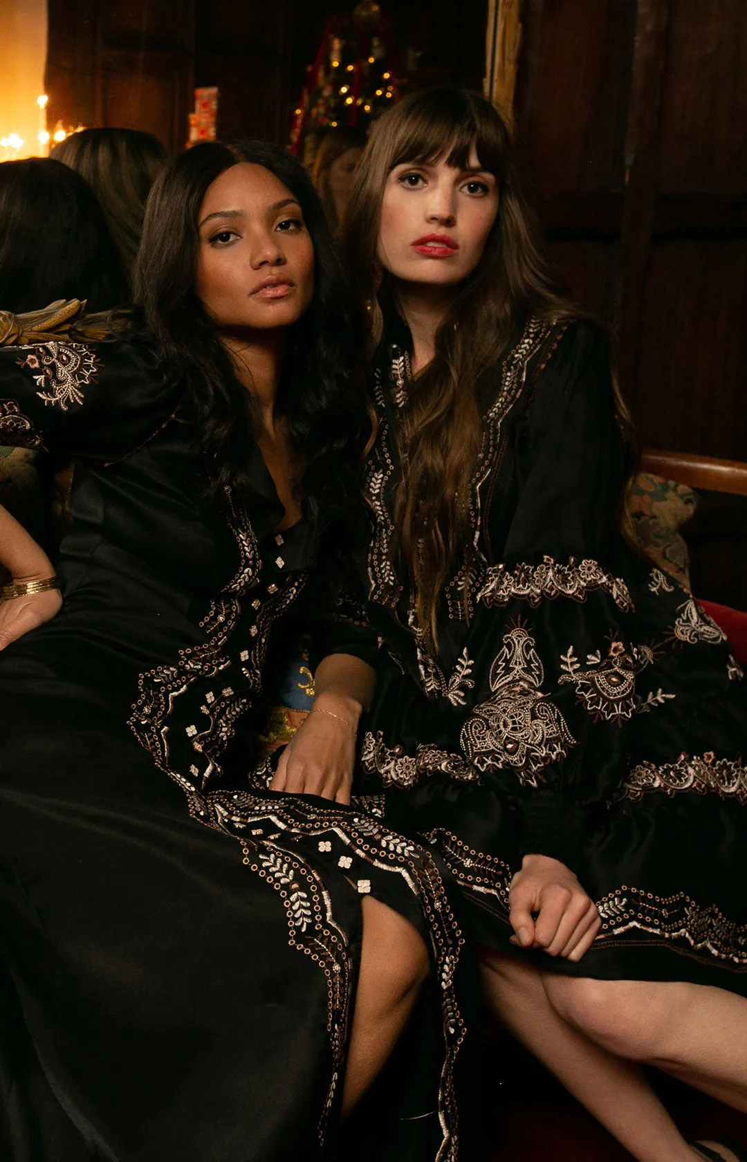 Lily Embroidered Dress sold by Hale Bob product image thumbnail 5