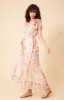 Marlee Chiffon Maxi Dress sold by Hale Bob