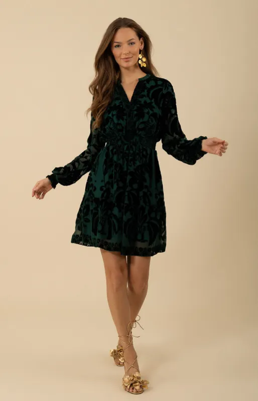 Alexa Velvet Burnout Solid Dress sold by Hale Bob