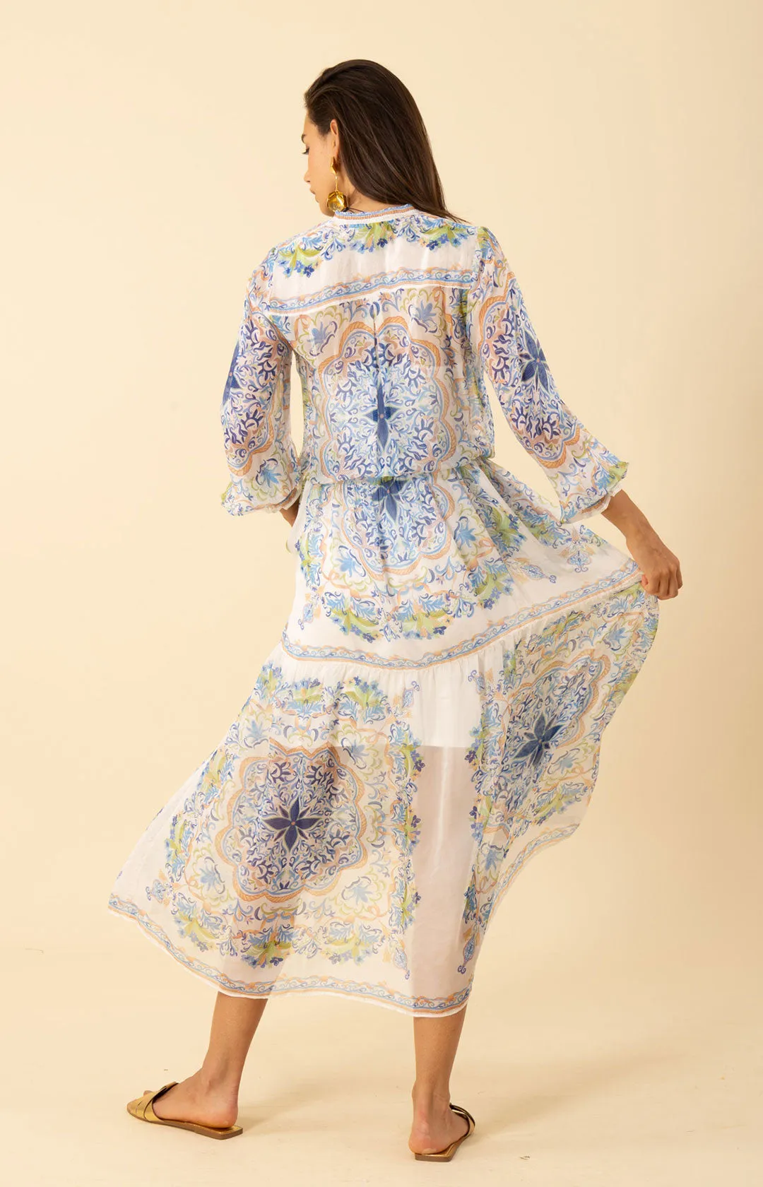 Halo Chiffon Maxi Dress sold by Hale Bob product image thumbnail 5