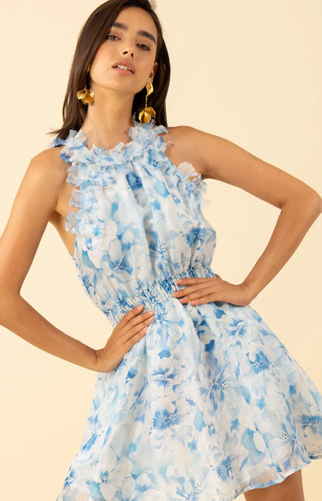 Nala Organza Floral Trim Dress sold by Hale Bob product image thumbnail 5