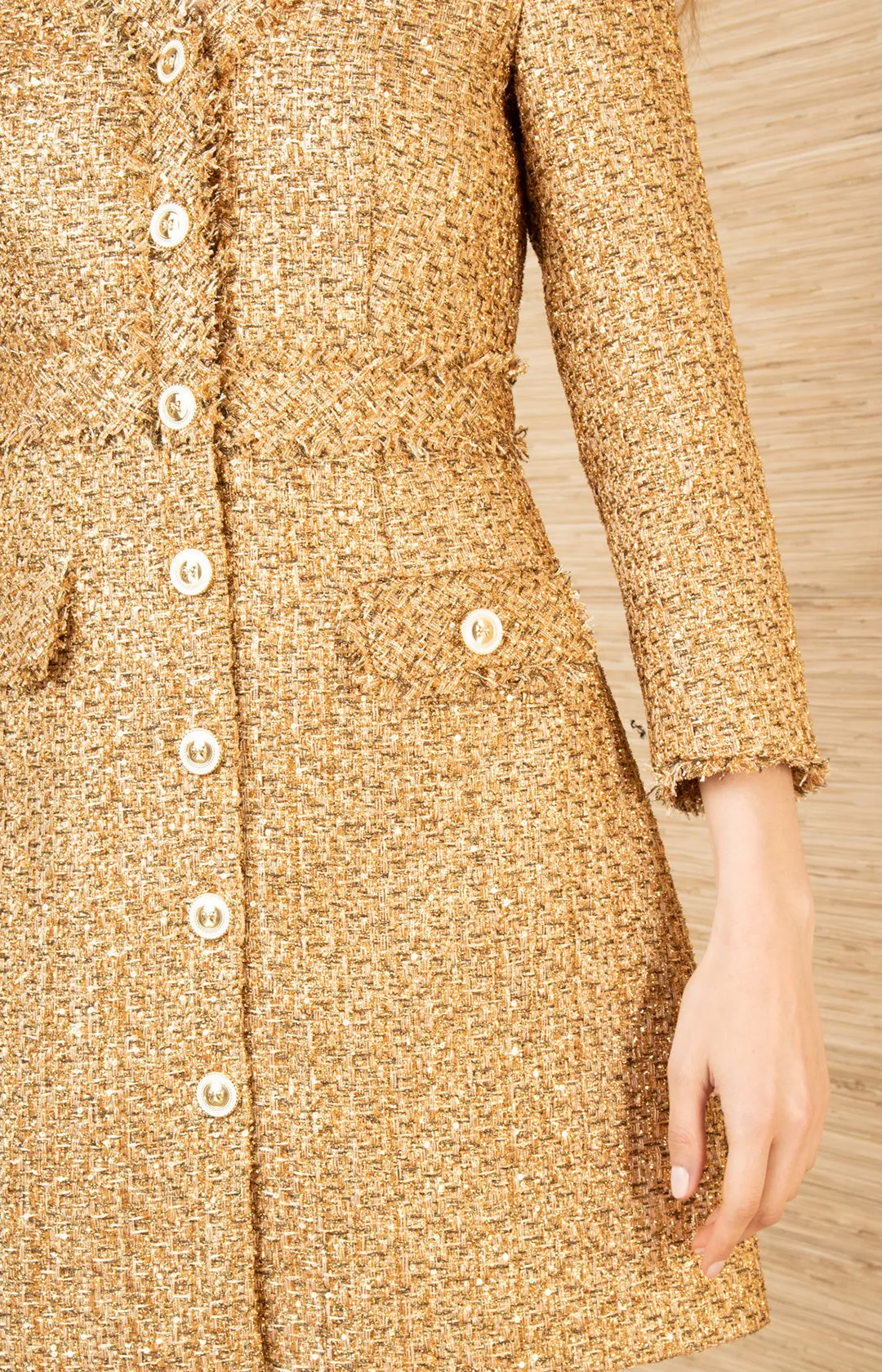 Elina Boucle Tweed Dress sold by Hale Bob product image thumbnail 4