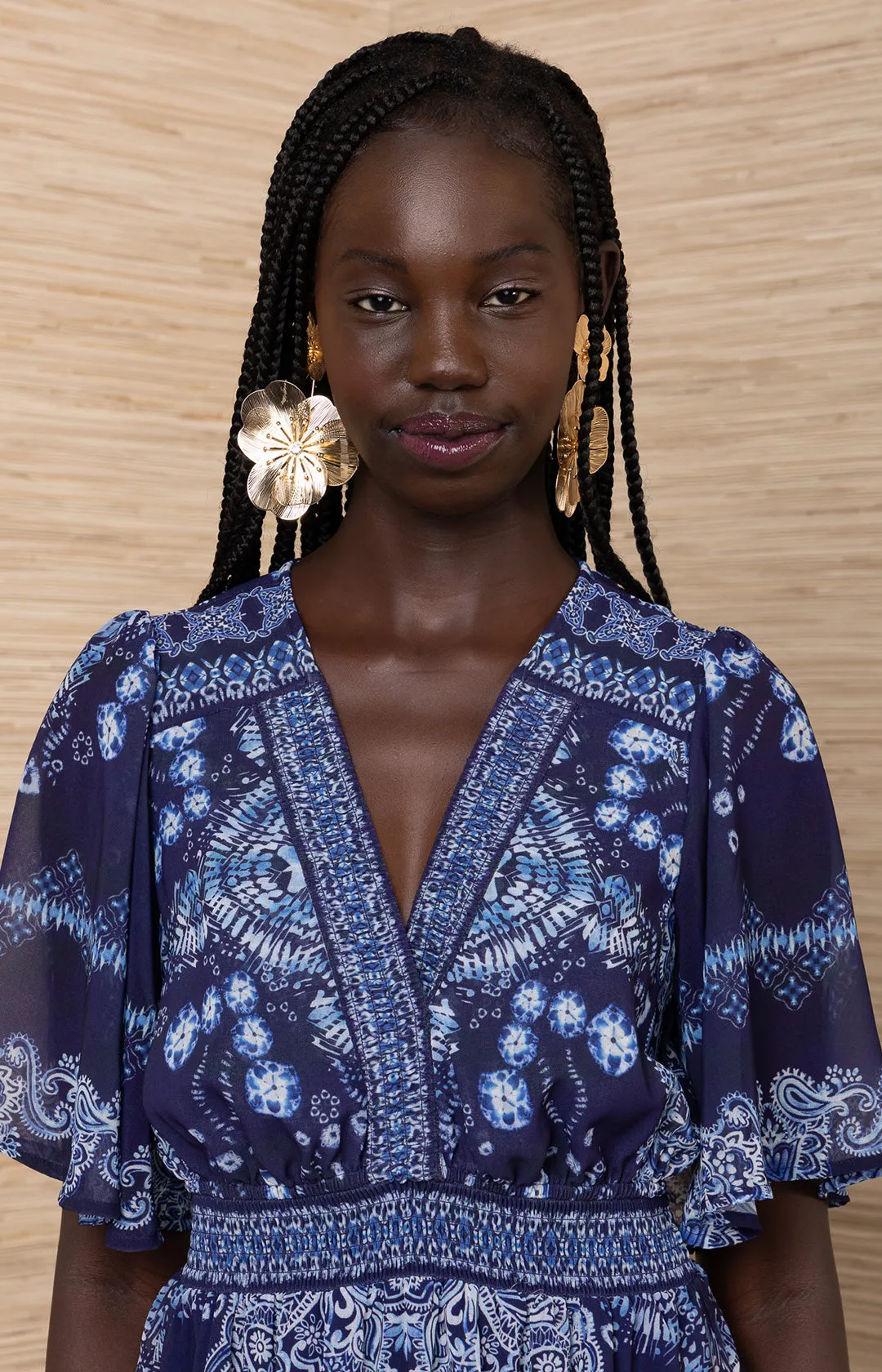 Alitzel Chiffon Maxi Dress sold by Hale Bob product image thumbnail 4