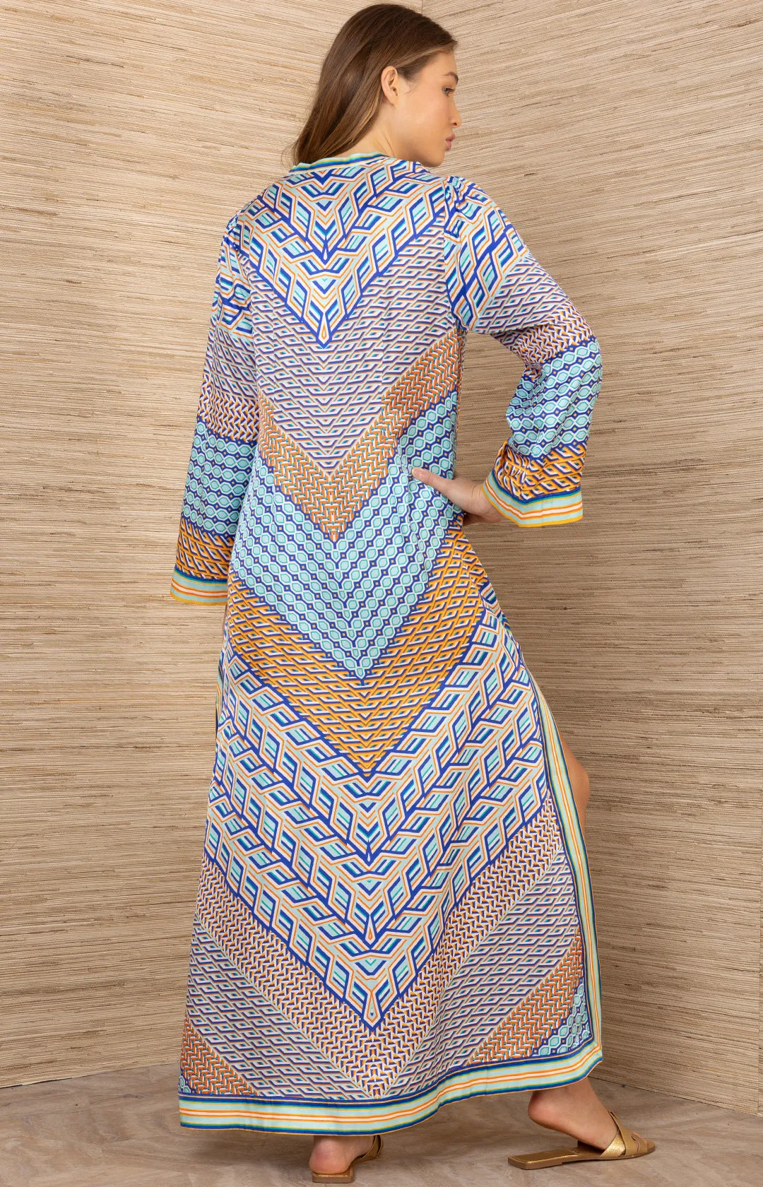 Aleyna Maxi Dress sold by Hale Bob product image thumbnail 2
