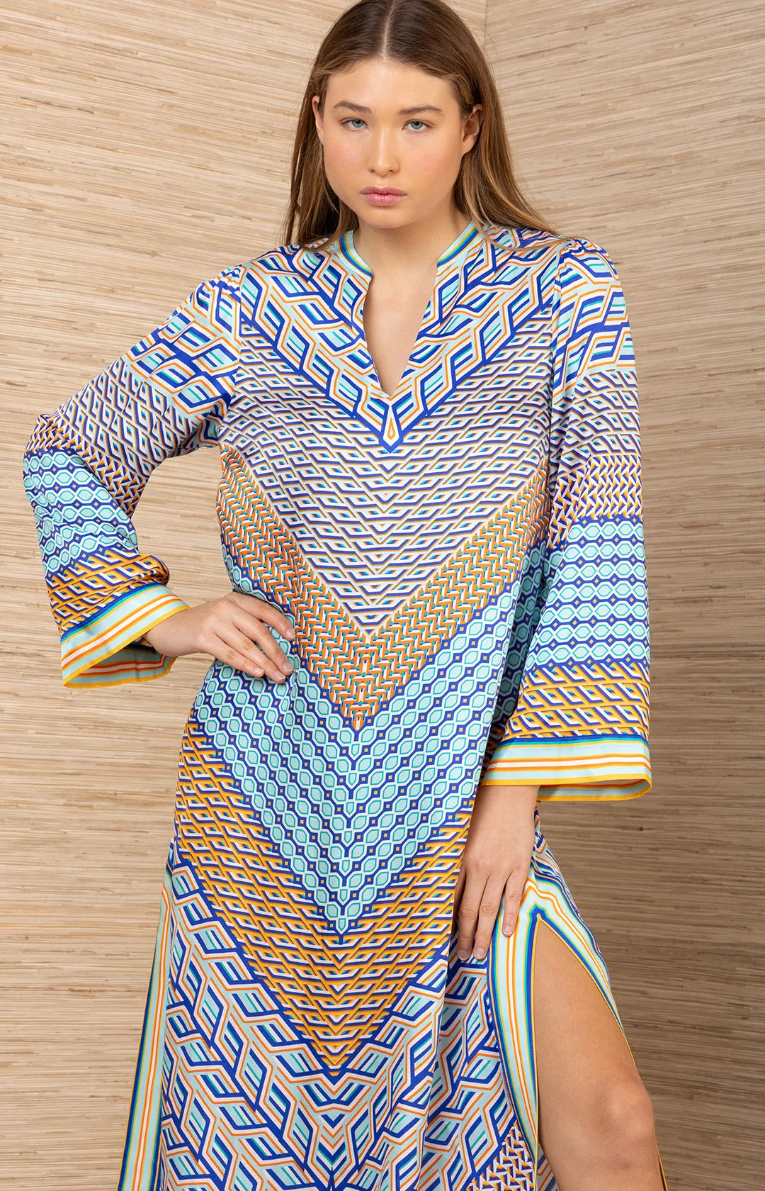 Aleyna Maxi Dress sold by Hale Bob product image thumbnail 4