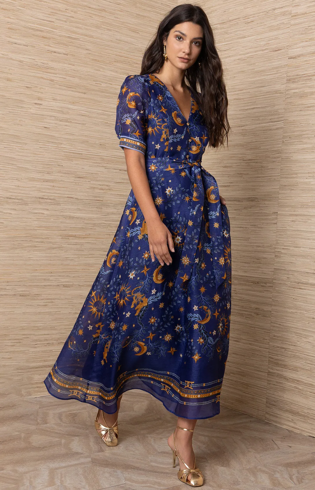 Indiana Organza Maxi Dress sold by Hale Bob product image thumbnail 3
