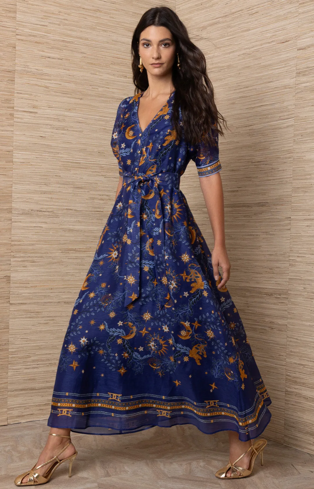 Indiana Organza Maxi Dress sold by Hale Bob product image thumbnail 4