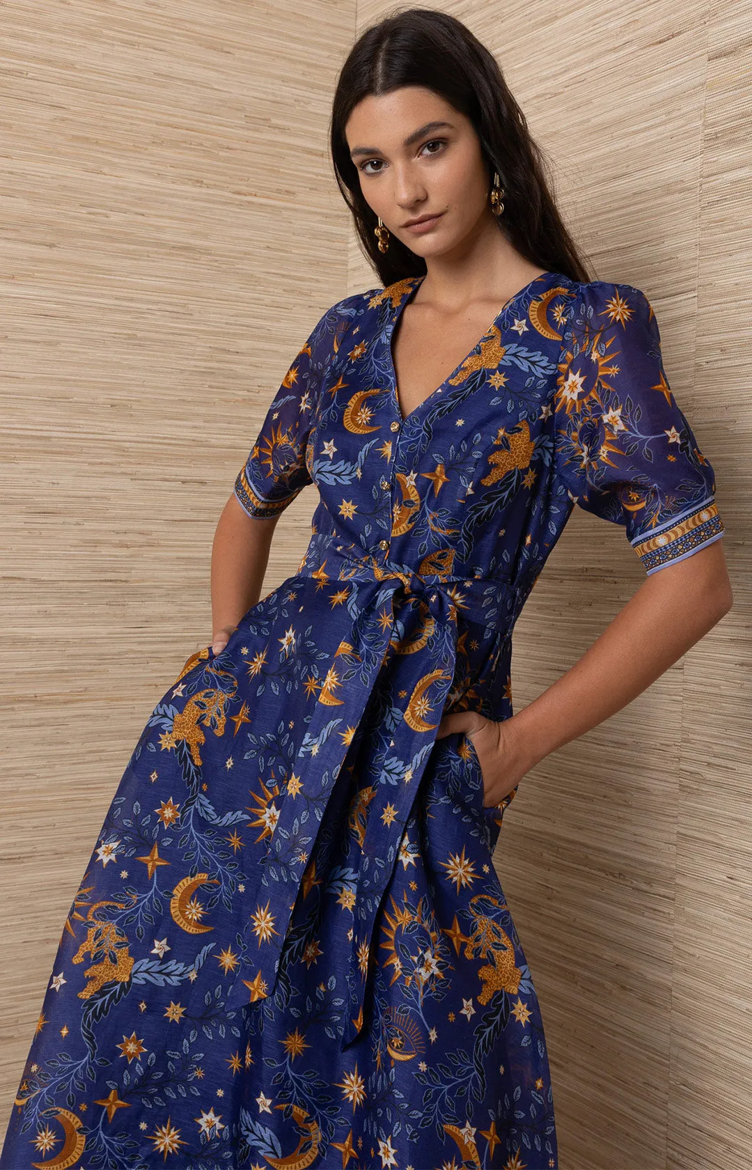 Indiana Organza Maxi Dress sold by Hale Bob product image thumbnail 5