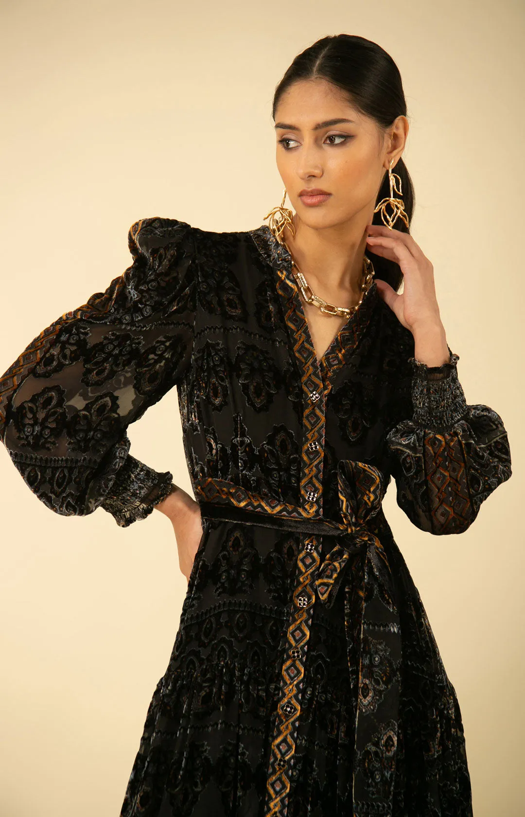 Gianna Velvet Burnout Maxi Dress sold by Hale Bob product image thumbnail 3