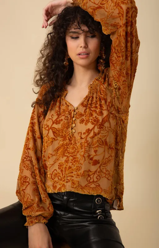 Liana Solid Velvet Burnout Top sold by Hale Bob