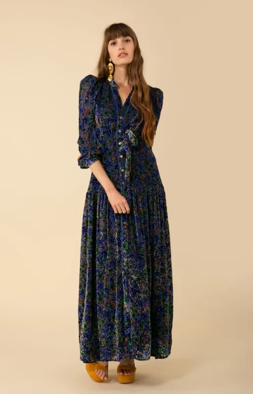 Heloise Velvet Burnout Maxi Dress sold by Hale Bob
