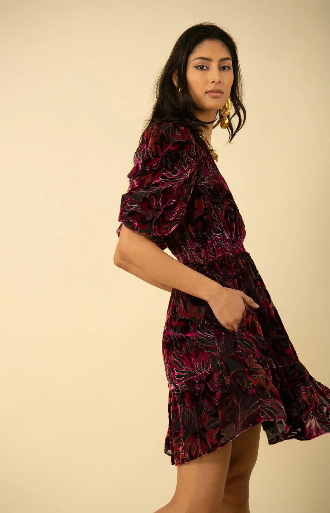 Willow Velvet Burnout Dress sold by Hale Bob product image thumbnail 4