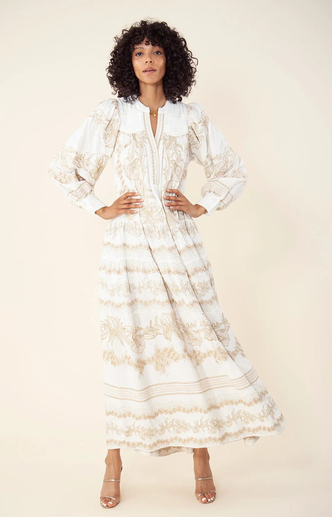 Janina Embroidered Maxi Dress sold by Hale Bob product image thumbnail 5