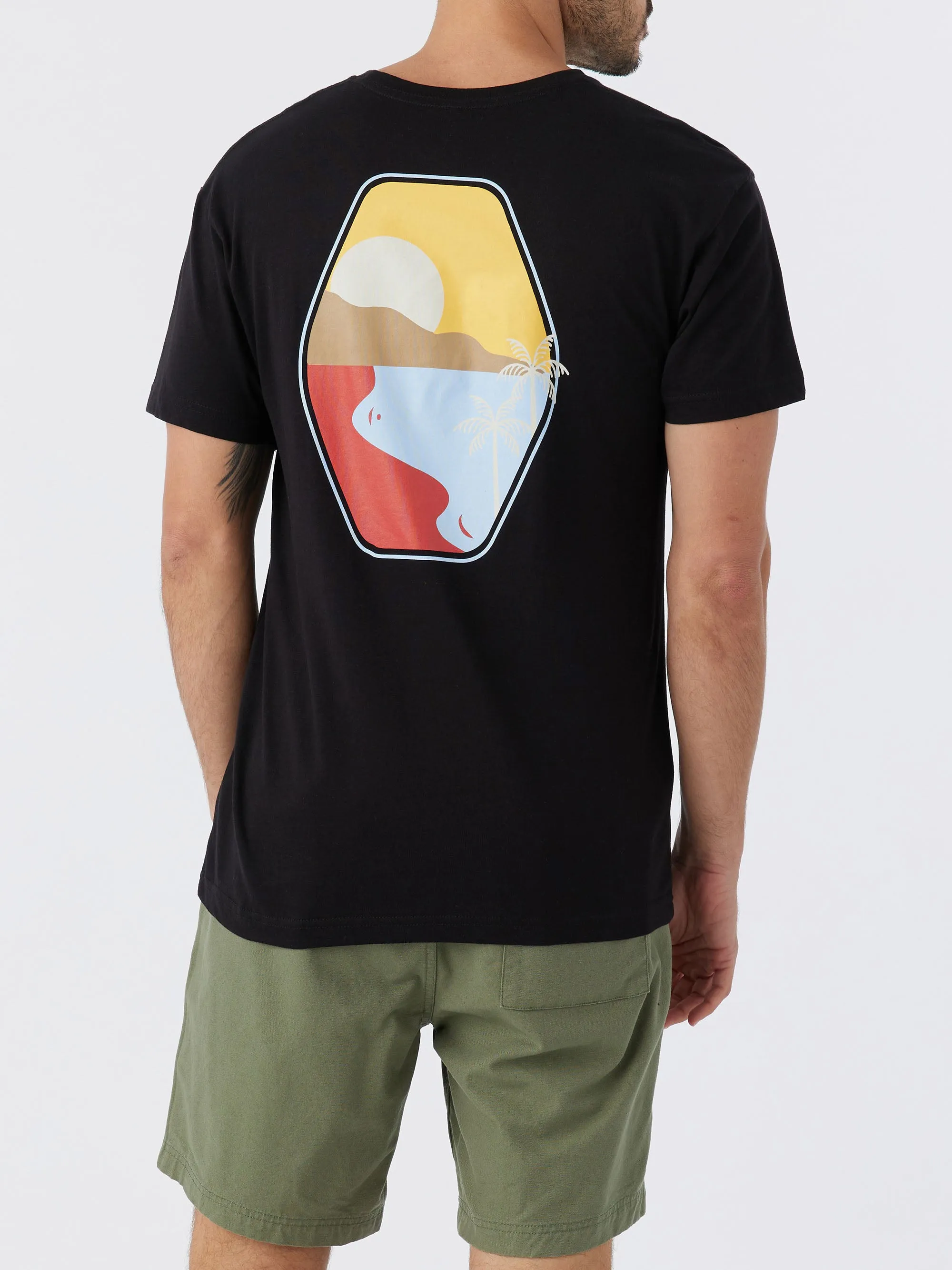 Painted Scene Tee sold by Hang Ten product image thumbnail 5