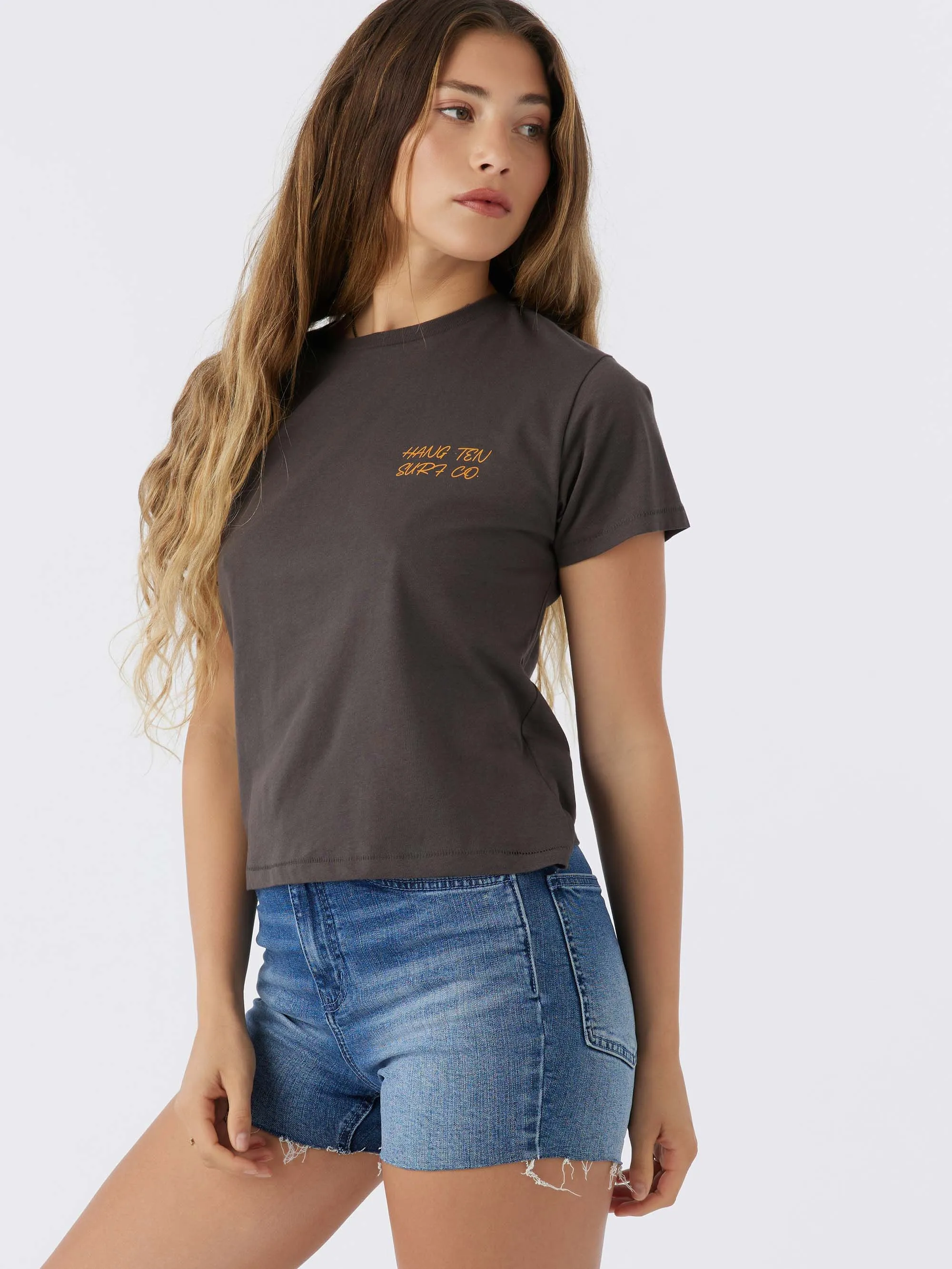 Open Rays Tee sold by Hang Ten product image thumbnail 4