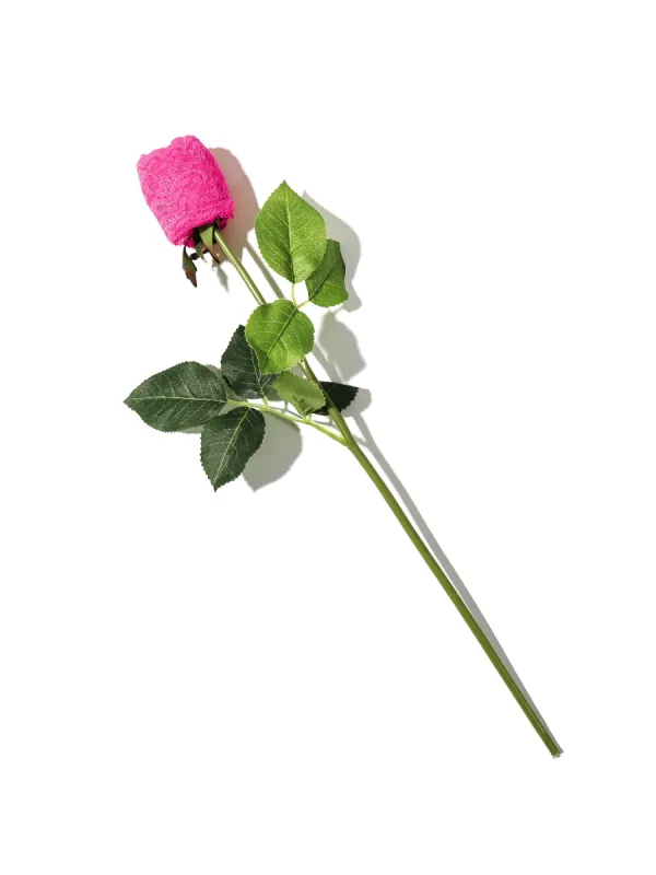 Signature Lace® Low Rise Thong Atomic Pink sold by Hanky Panky