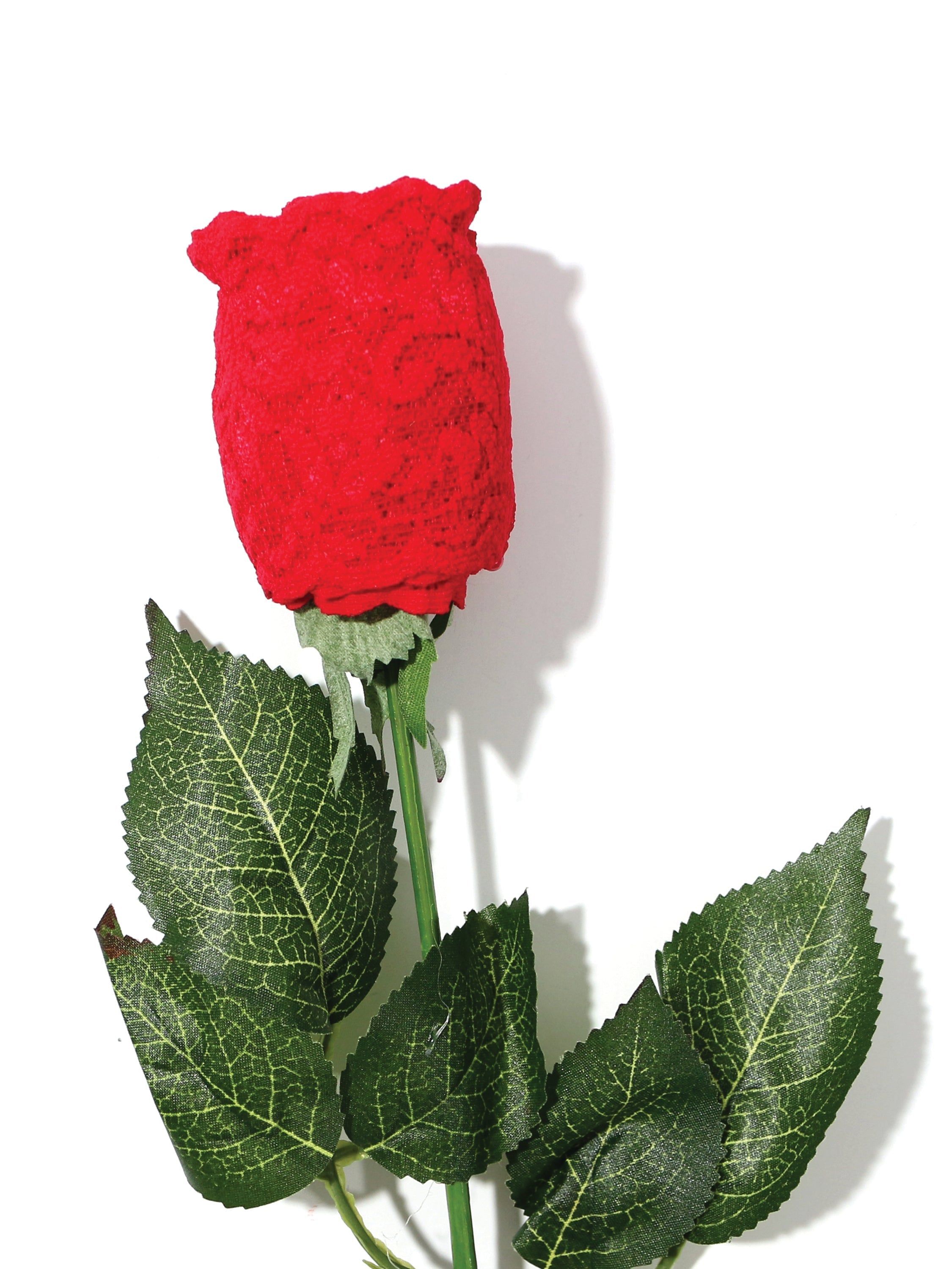 Plus Size Signature Lace Original Rise Thong Rose sold by Hanky Panky product image thumbnail 6