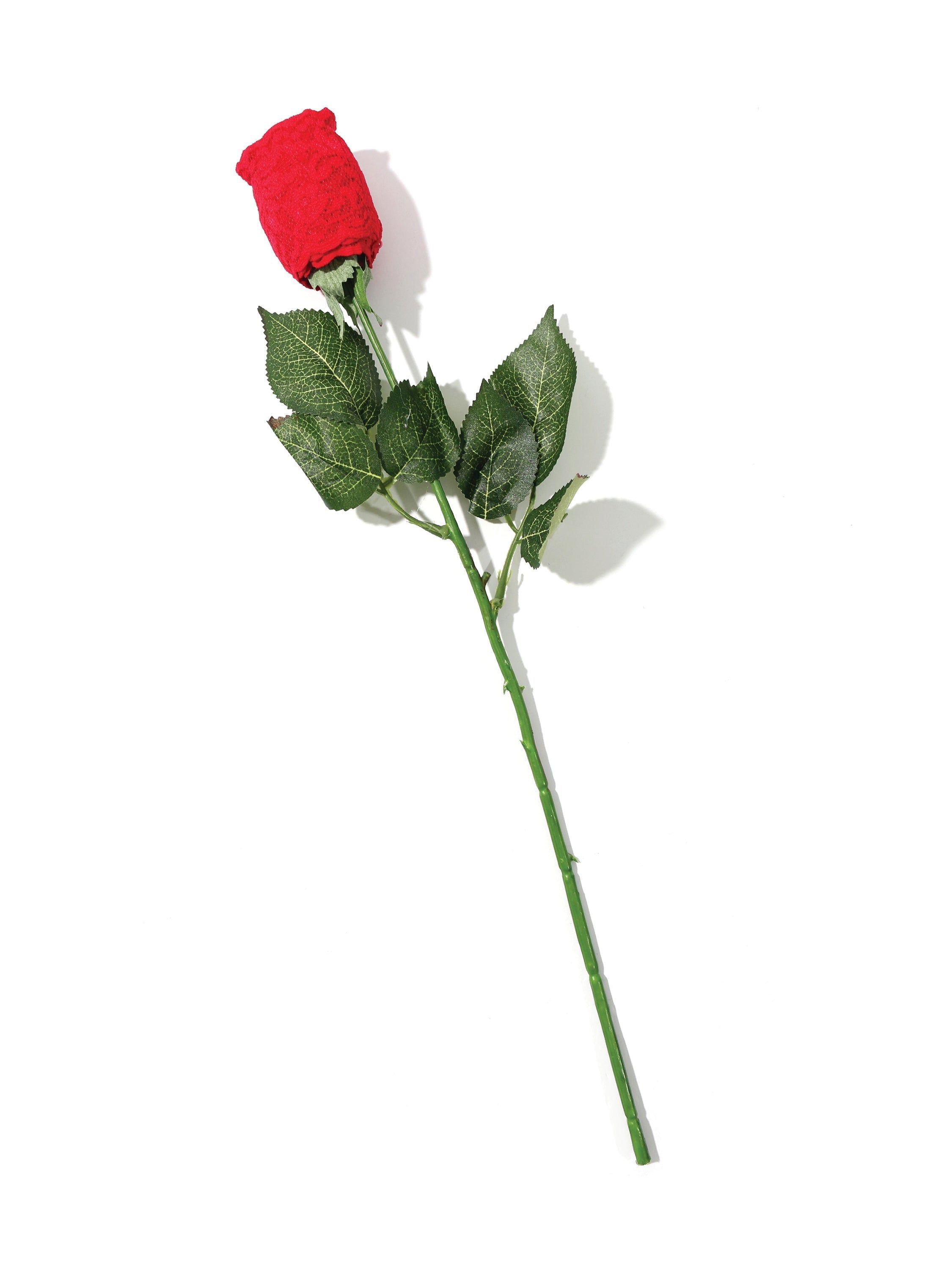 Plus Size Signature Lace Original Rise Thong Rose sold by Hanky Panky product image thumbnail 7