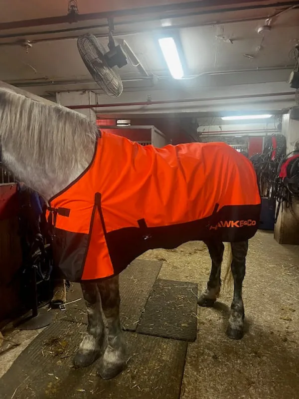 The Equine Empire Quilted Horse Jacket sold by Hawke & Co