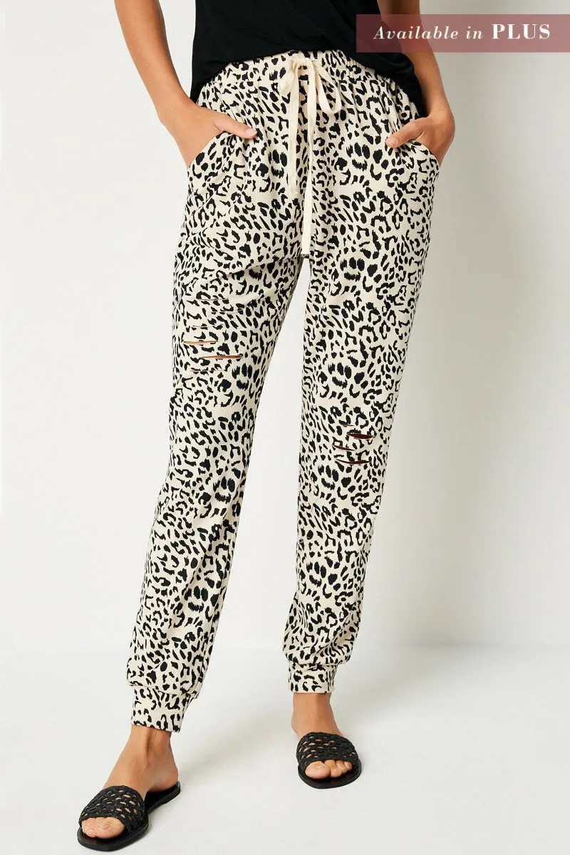 Womens Distressed Leopard Jogger sold by Hayden product image thumbnail 2