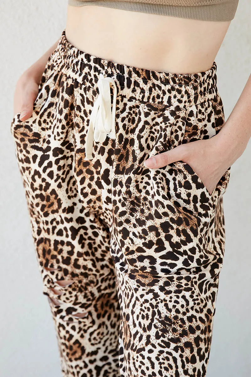 Womens Leopard Print Jogger sold by Hayden product image thumbnail 3