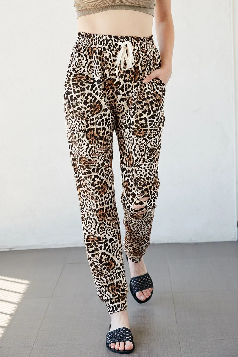 Womens Leopard Print Jogger sold by Hayden