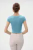 SHORT SLEEVE SCOOP NECK CROP TOP sold by Heart & Hips