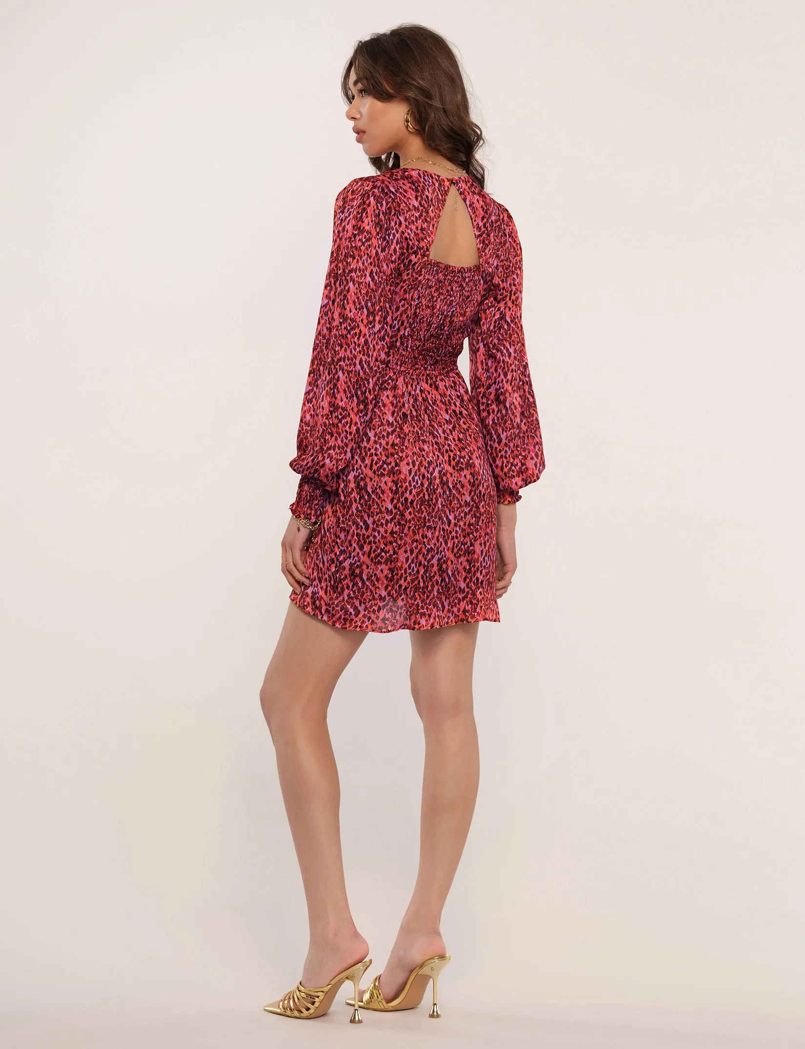 Selita Dress sold by Heartloom product image thumbnail 3