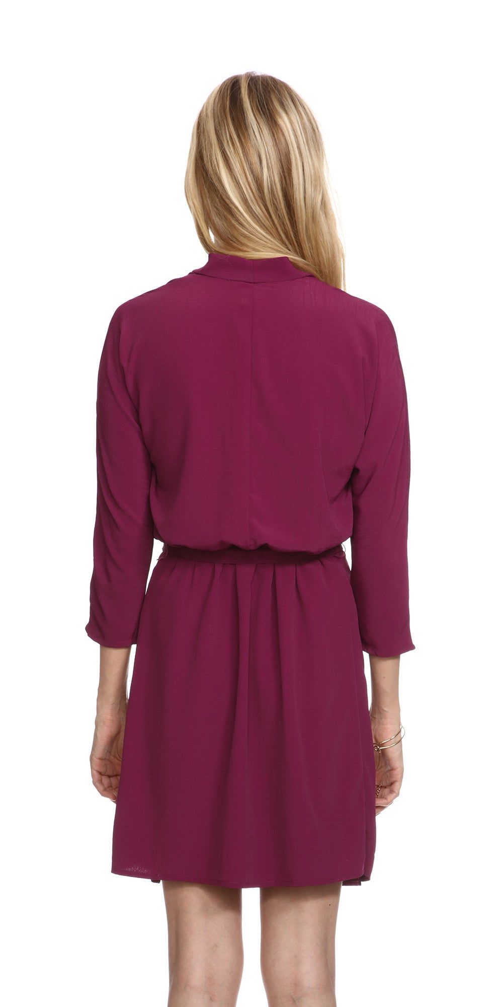 Lexi Dress sold by Heartloom product image thumbnail 2