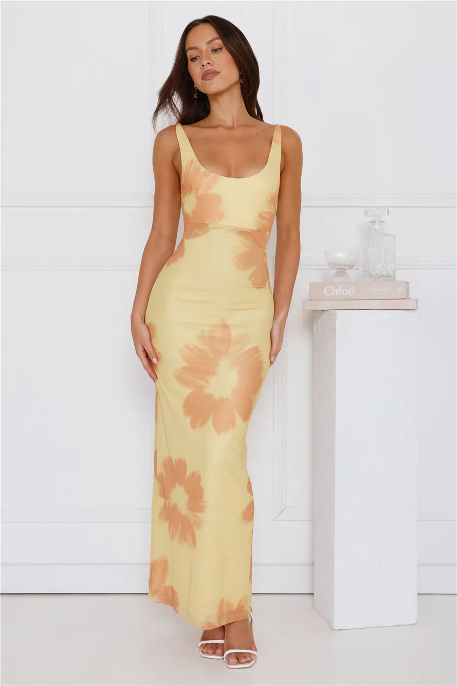 Amber Splendour Mesh Maxi Dress Yellow sold by Hello Molly product image thumbnail 3