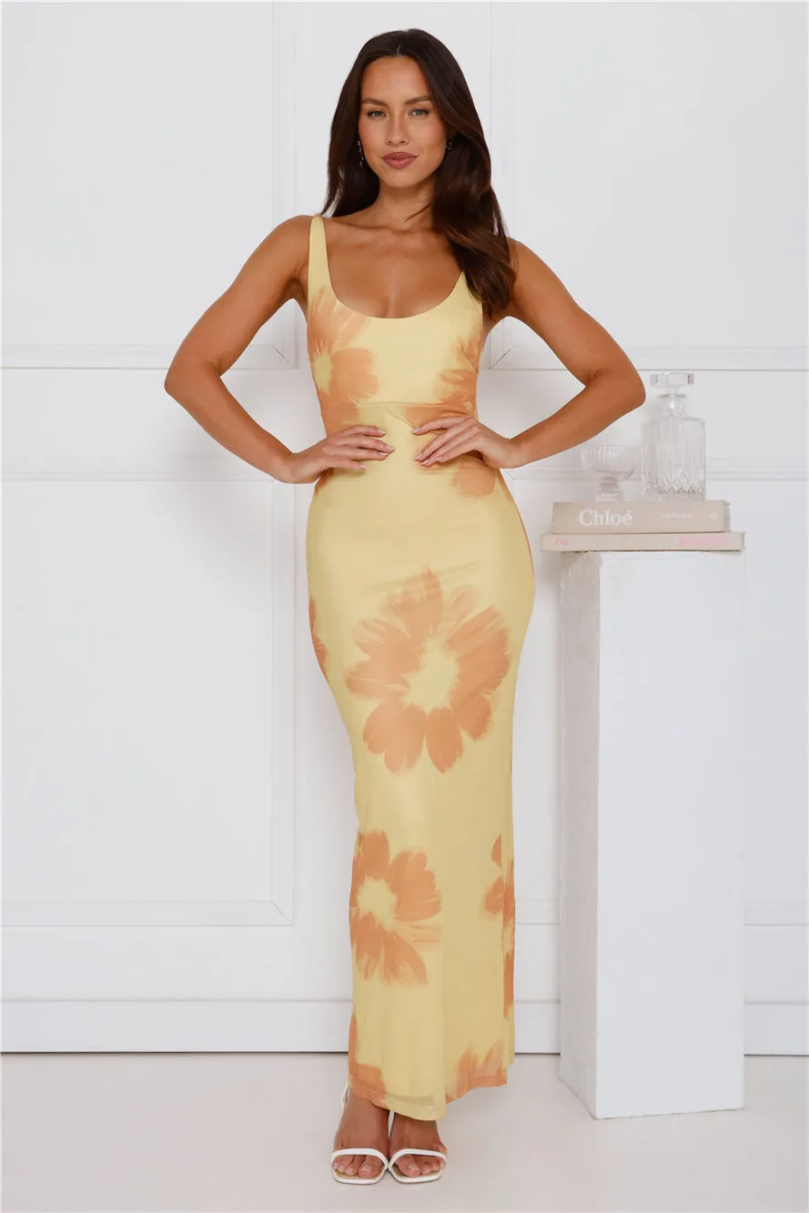 Amber Splendour Mesh Maxi Dress Yellow sold by Hello Molly