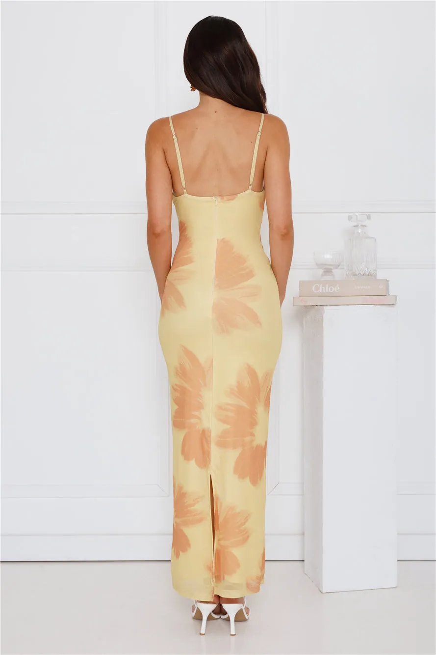 Amber Splendour Mesh Maxi Dress Yellow sold by Hello Molly product image thumbnail 5