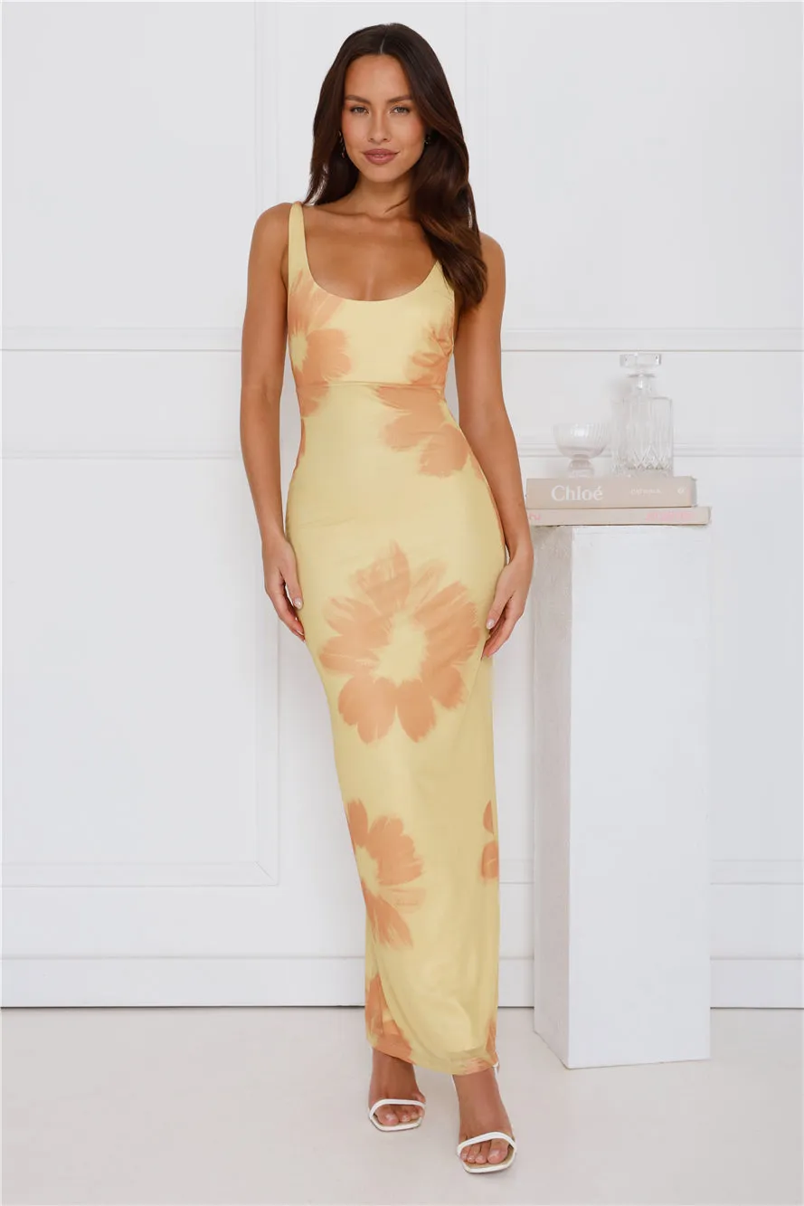 Amber Splendour Mesh Maxi Dress Yellow sold by Hello Molly product image thumbnail 2