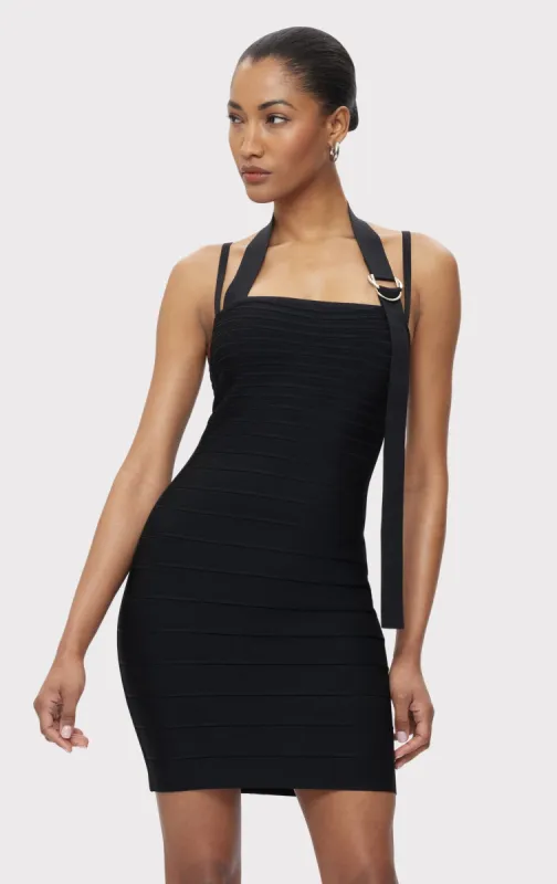 THE DANI DRESS sold by Herve Leger