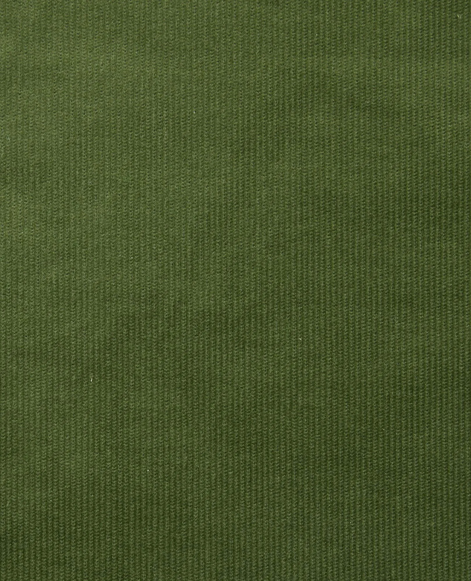 Coaster Cord Lean Pant sold by TOAD&CO product image thumbnail 4