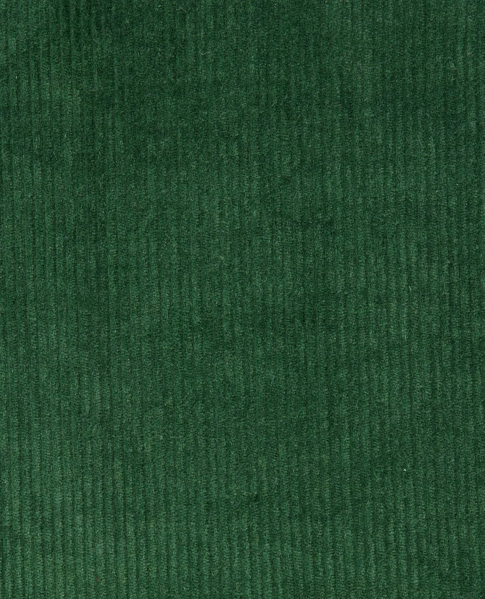 Men's Cascadia Cord Shirt sold by TOAD&CO product image thumbnail 5