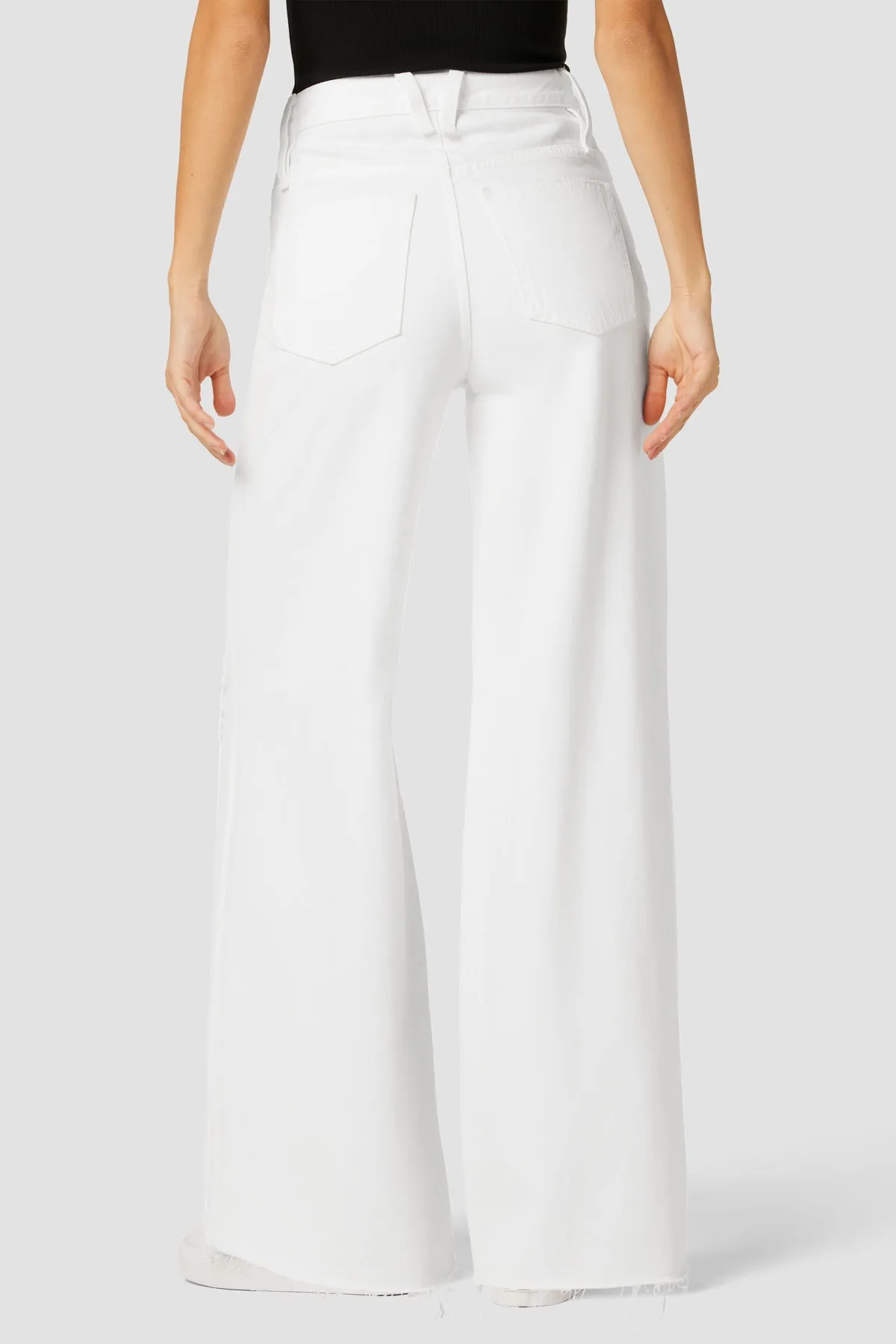James High-Rise Wide Leg Jean sold by Hudson Jeans product image thumbnail 3