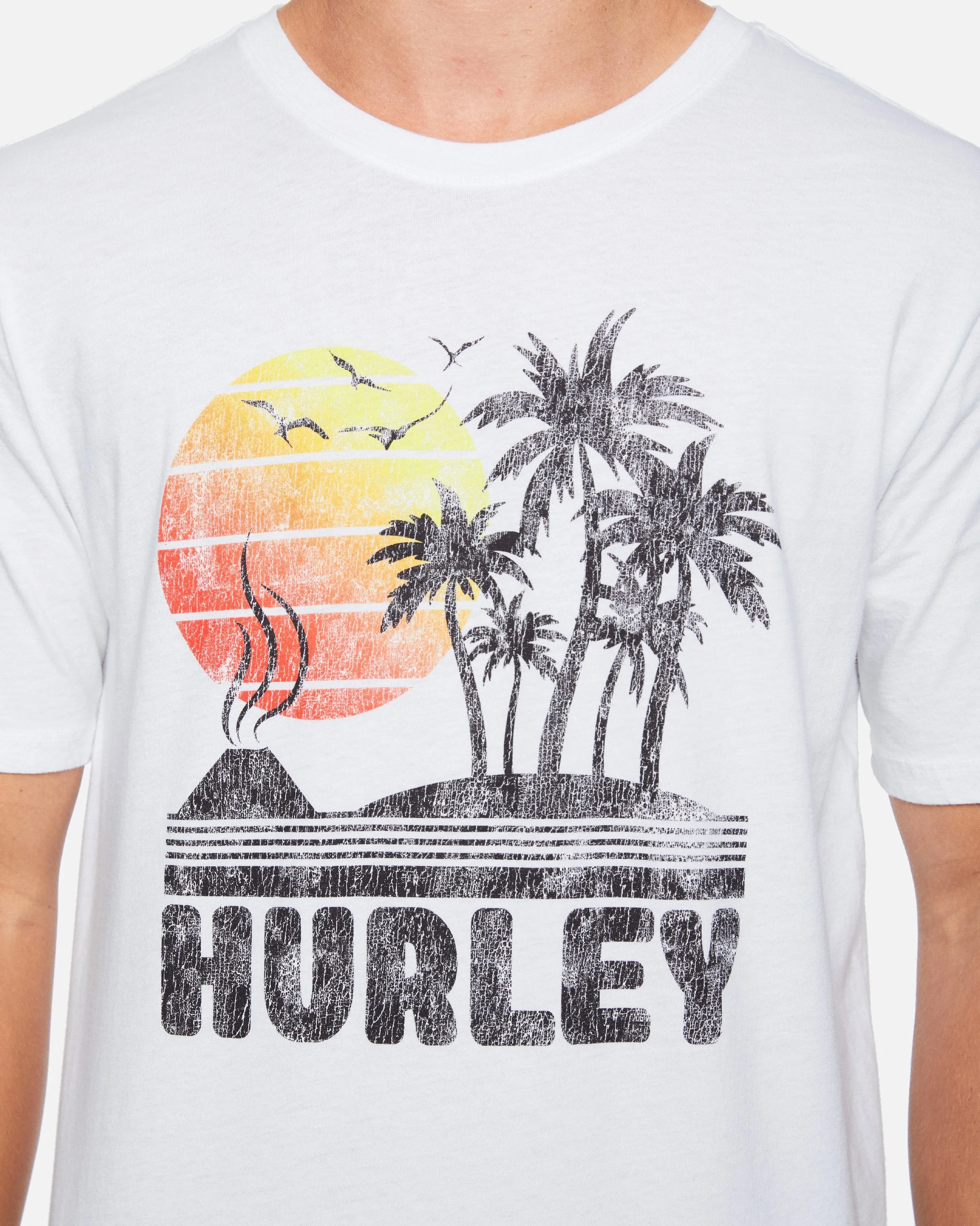Everyday Washed Iwa Island Short Sleeve T-Shirt sold by Hurley product image thumbnail 5