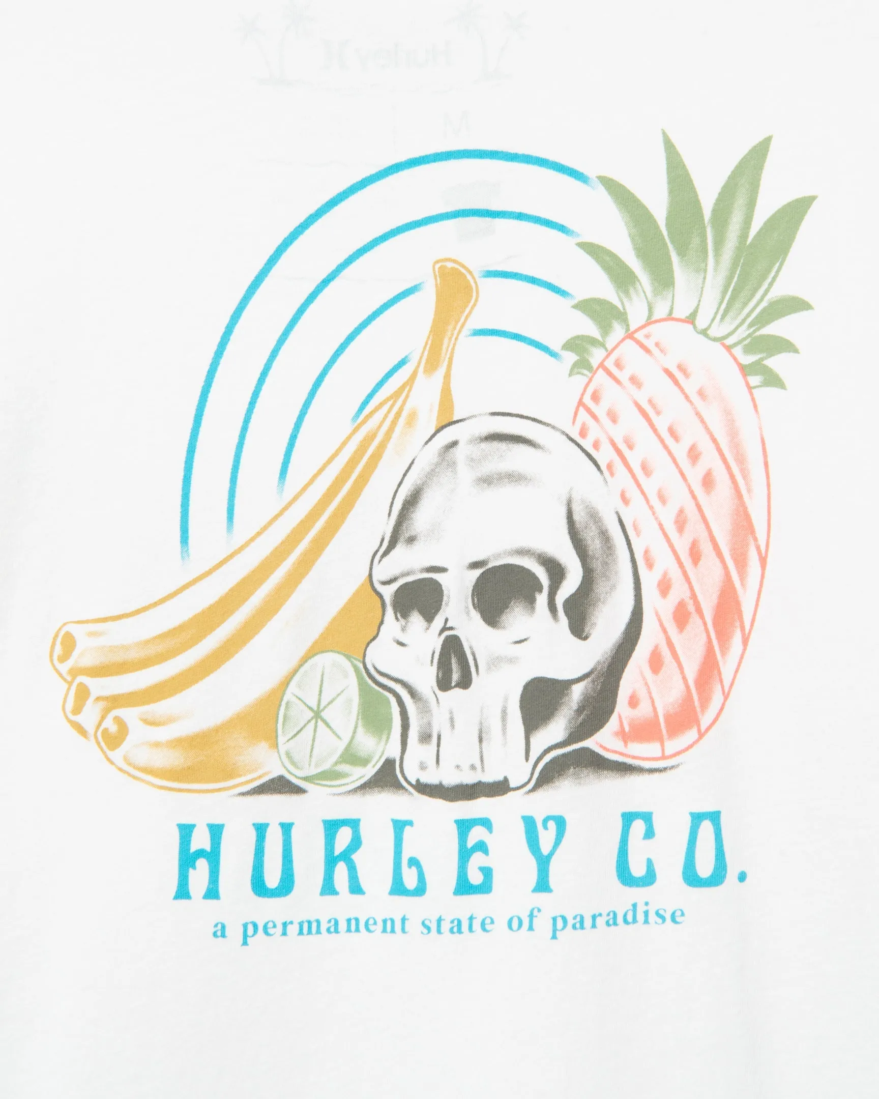 Everyday Washed Still Life Short Sleeve T-Shirt sold by Hurley product image thumbnail 4