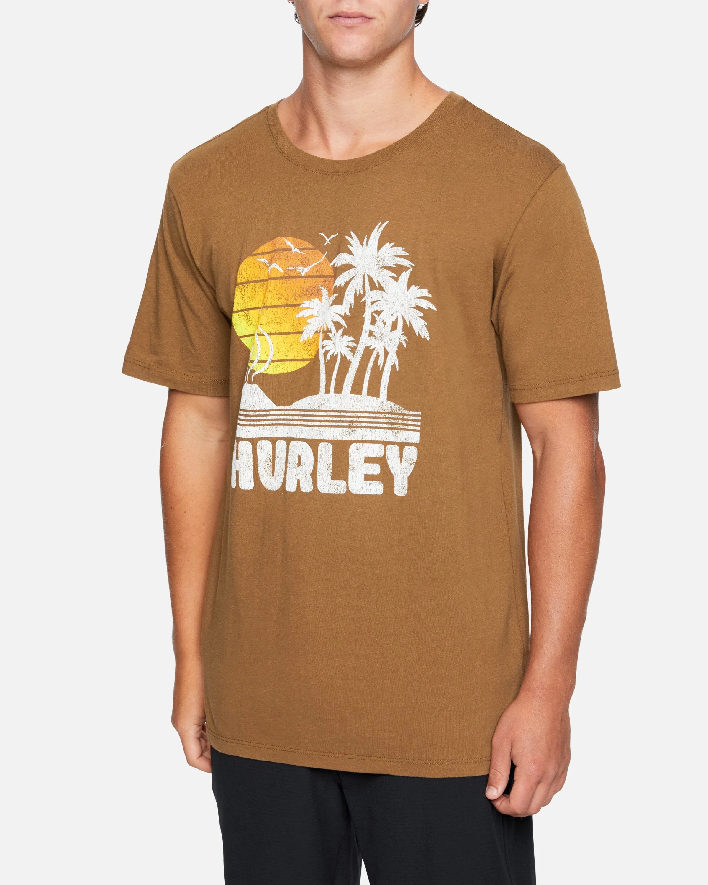 Everyday Washed Iwa Island Short Sleeve T-Shirt sold by Hurley product image thumbnail 3