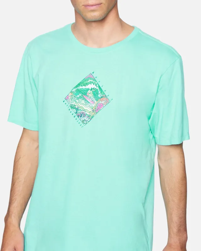 Everyday Washed Sendy Short Sleeve T-Shirt made by Hurley